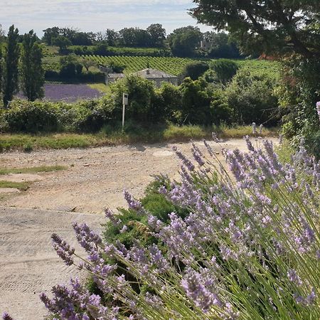 Le Clos Du Grand Chene - Gites 4 Etoiles - Saint-Marcel-d'Ardeche Exterior foto