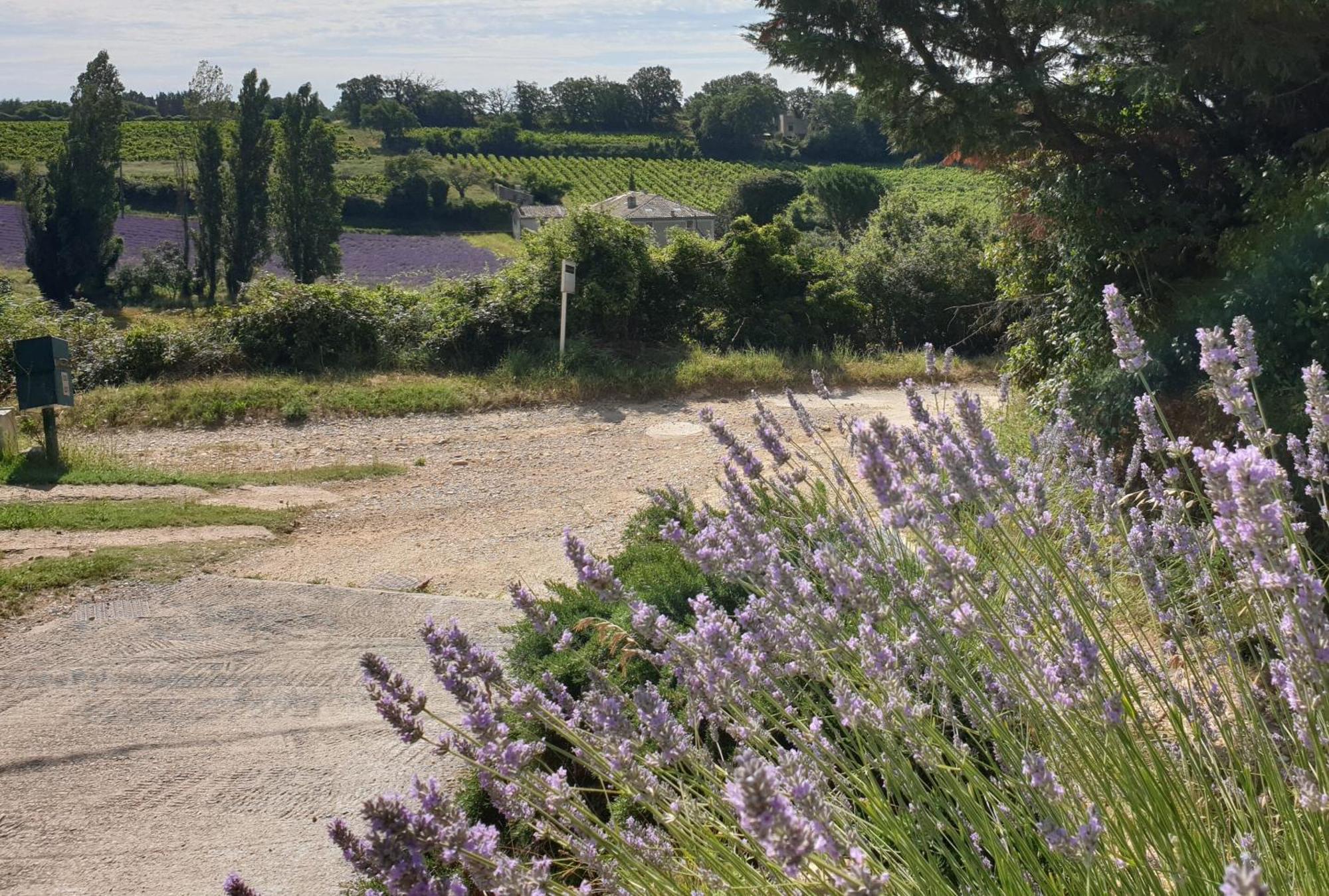 Le Clos Du Grand Chene - Gites 4 Etoiles - Saint-Marcel-d'Ardeche Exterior foto
